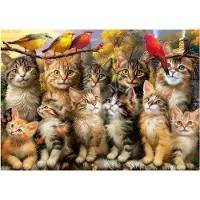 Educa Puzzle - EDUCA - Chatons et Oiseaux - 500 pièces