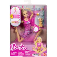 Mattel BARBIE WELLNESS MEDITATION leksats (JJN55)