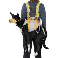 Ruffwear Backtrak Evakueringskit