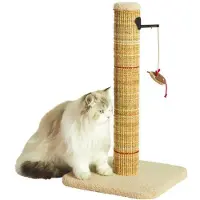 Zolux klöspelare till katt, BOREAL M 60 cm, beige