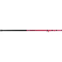 iFish Fiskpinne 4m Pink