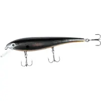 iFish The Fighter 120 mm Silver Sally