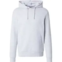 Only & Sons Sweatshirt 'ONSChase' ljusgrå