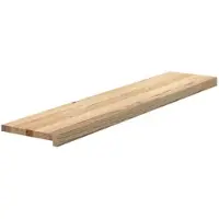vidaXL Trappstegsmattor 2 pcs obehandlad 120x25x2 cm massiv ek
