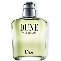 Dior Dune Pour Homme Eau de Toilette Spray 3.4 oz