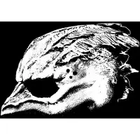 Ginza.se Legend of the Seagullmen: Legend of the Seagu...