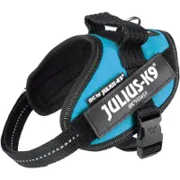 JULIUS K-9 K9 IDC sele, str: Mini-Mini, Aquamarine 40-53 cm