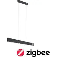 Paulmann Jagun 79995 LED-pendelbelysning LED 21 W Antracit