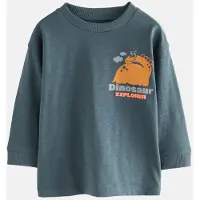 Next T-shirt grå / gran / orange