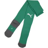 Puma Fotbollsstrumpor LIGA Core - Sport Grön/White, storlek 47-49