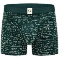 Adam Boxershorts 'Maths Pro' sand / mörkgrön