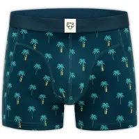 Adam Boxershorts marinblå / turkos / cyanblå / gul
