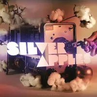 Ginza.se Silver Apples: Clinging To A Dream (Ltd)