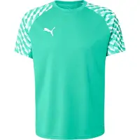 Puma Tränings T-Shirt teamLIGA26 - Sport Grön/White, storlek Small