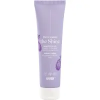 Anwen Here Comes The Shine primer för hår, medium porositet, 100 ml