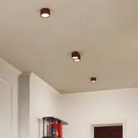Sollux Taklampa RIBLA , dimbar, Brun / rost, Vardagsrum / matsal, Aluminium / grå / zink, Taklampa