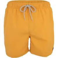 Rip Curl Offset Washed Volley Simshorts