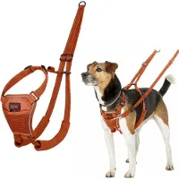 Company of animals Halti No Pull Hundsele