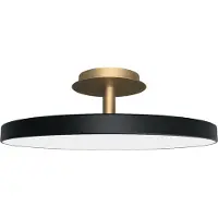 UMAGE Design taklampa Asteria UP PLUS, dimbar, Svart, Vardagsrum / matsal, Metall, Design, Taklampa
