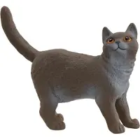 Schleich Farm World - Brittiskt korthår - H: 4,3 cm - 13973 - - One Size - Leksaksdjur