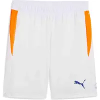 Puma Individual Training Shorts