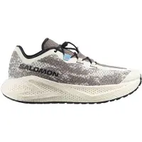 Salomon Men's Aero Glide 4 Grvl Vanilla Ice/Black/Iron