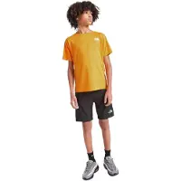 The North Face Shorts - Dygnet runt - Svart/Asfalt Grey - - 7-8 år (122-128) - Shorts