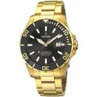 Festina Stilren Herrklocka F20533/2