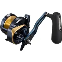 Daiwa 25 Saltiga Havsfiskerulle