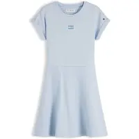 Tommy Hilfiger Tonal Flag Logo Skater Dress