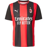 Puma Milan Hemmatröja 2026/27 - , storlek X-Large