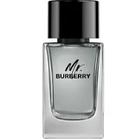 Burberry Mr Edt 100ml