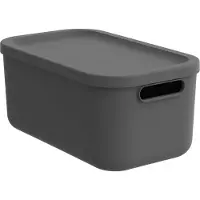 Rotho Box12l Albula Antracit