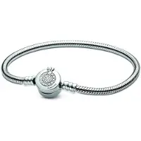 Pandora Moments Sparkling Crown O Snake Chain armband 599046C01-18