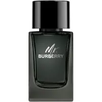 Burberry Mr. Eau de Parfum 100 ml