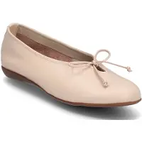 Wonders Celestina Ballerinor