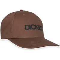 Dickies Keps - Torrey - Timber Brown m. Svart - - One Size - Keps