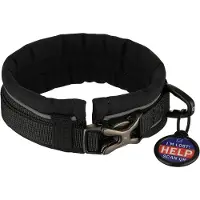 Sprenger Padded Hundhalsband