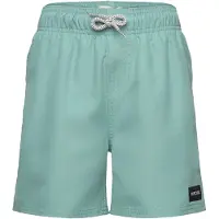 Rip Curl Offset Volley Simshorts