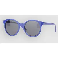 Vans Rise And Shine Solglasögon royal cobalt