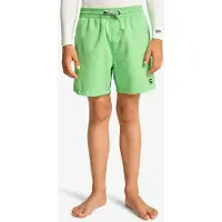 Billabong All Day Lb Simshorts