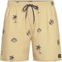 Rip Curl Sessions Volley Simshorts