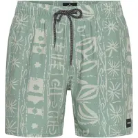 Rip Curl Sessions Volley Simshorts
