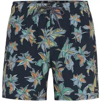 Rip Curl Sessions Volley Simshorts
