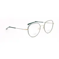 Ana Hickmann Optical Frame HI1247T 12A 50 Titanium