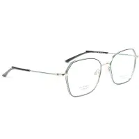 Ana Hickmann Optical Frame HI1246T 06A 54 Titanium