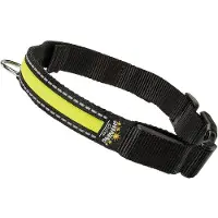 Ferplast Night L Hundhalsband
