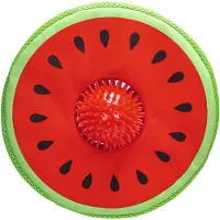 Beeztees Melon Spikie Hund Leksak