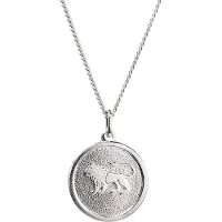 Saurum stjärnteckenhalsband Lejonet SA567000005
