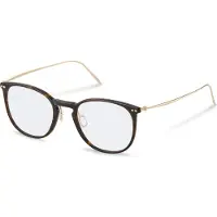 Rodenstock R7136 Pantos Glasögon